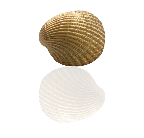 Herzmuschel vergoldet