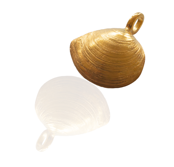 Plattmuschel vergoldet