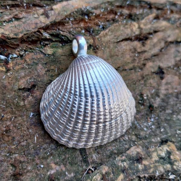 Herzmuschel - die „Große“ - 925/- Silber