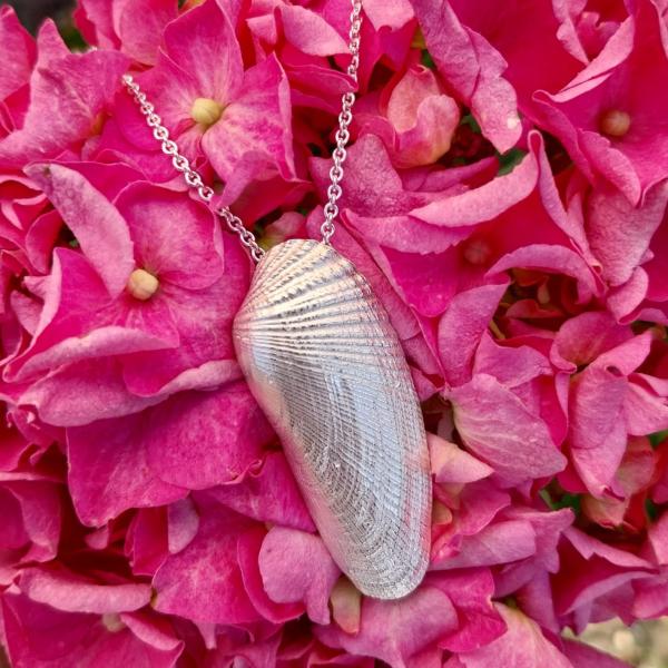 Amerikanische Bohrmuschel - 925/- Silber