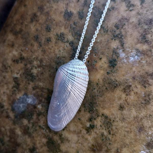 Amerikanische Bohrmuschel - 925/- Silber