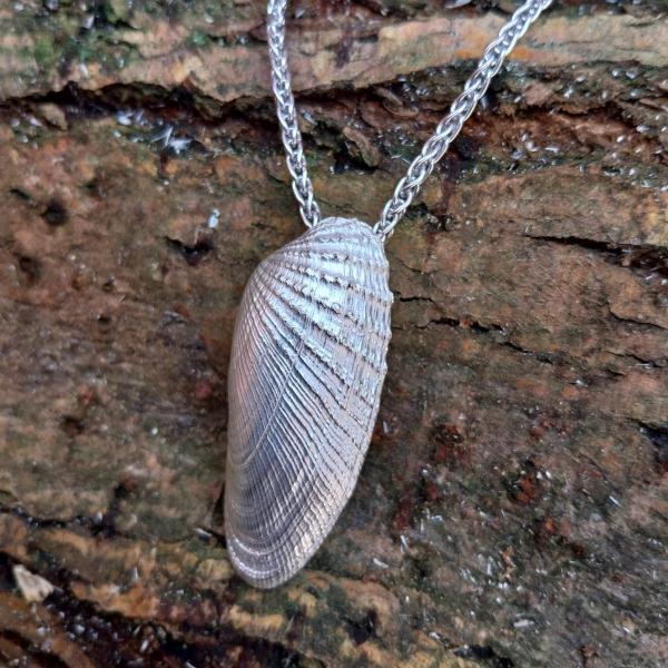 Amerikanische Bohrmuschel - 925/- Silber