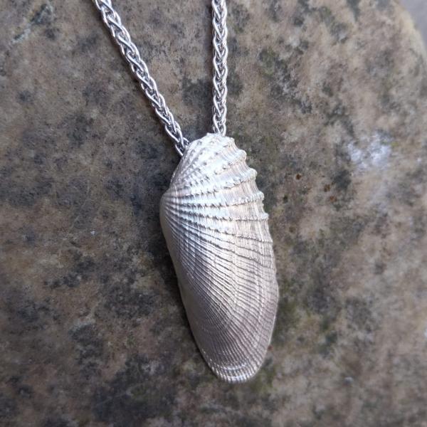 Amerikanische Bohrmuschel - 925/- Silber