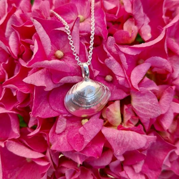 Plattmuschel - die „Kleine“ 925/- Silber