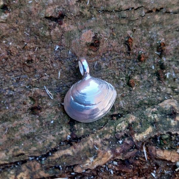 Plattmuschel - die „Kleine“ 925/- Silber