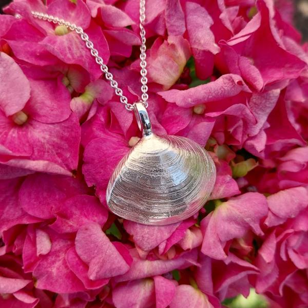Plattmuschel - 925/- Silber