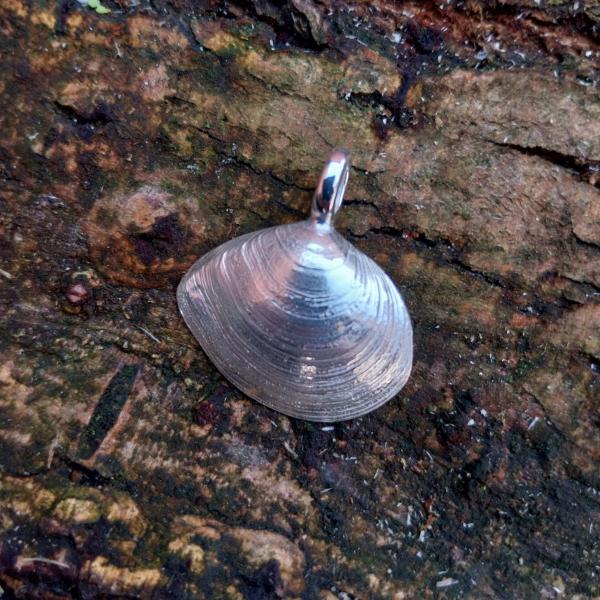 Plattmuschel - 925/- Silber