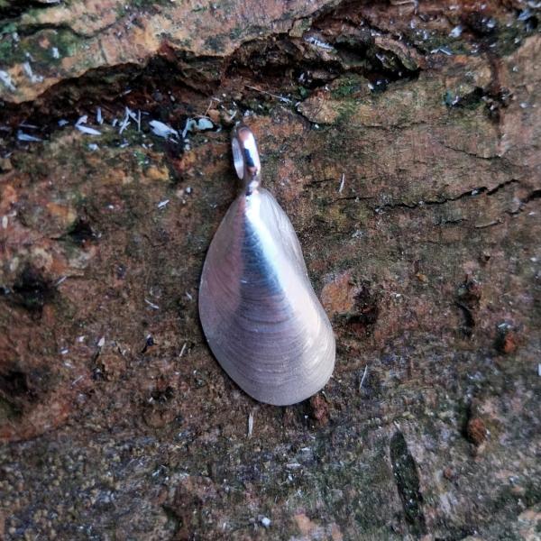 Miesmuschel - die „Kleine“ 925/- Silber