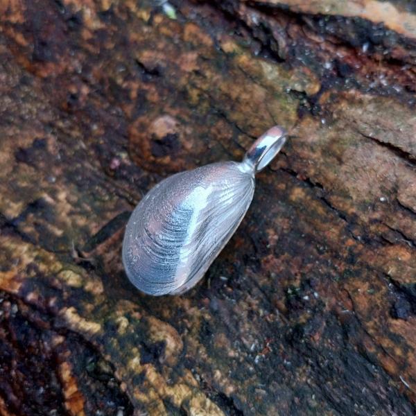 Miesmuschel - 925/- Silber