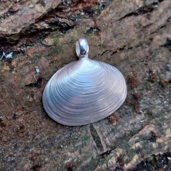 Pfeffermuschel - 925/- Silber