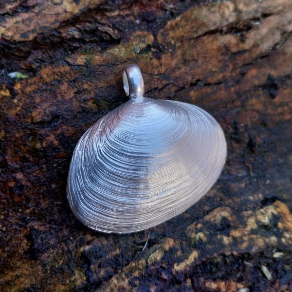 Pfeffermuschel - die „Große“ 925/- Silber