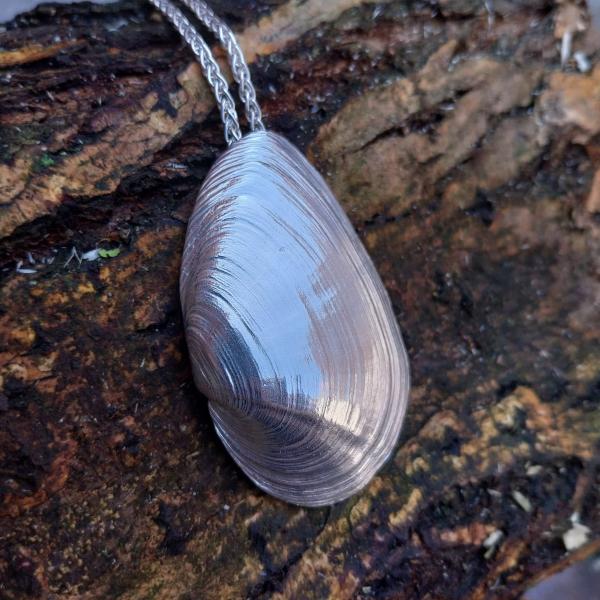 Sandklaffmuschel - 925/- Silber