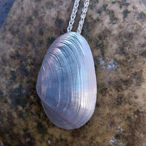 Sandklaffmuschel - 925/- Silber