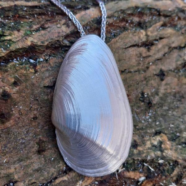 Sandklaffmuschel - die „Große“ 925/- Silber