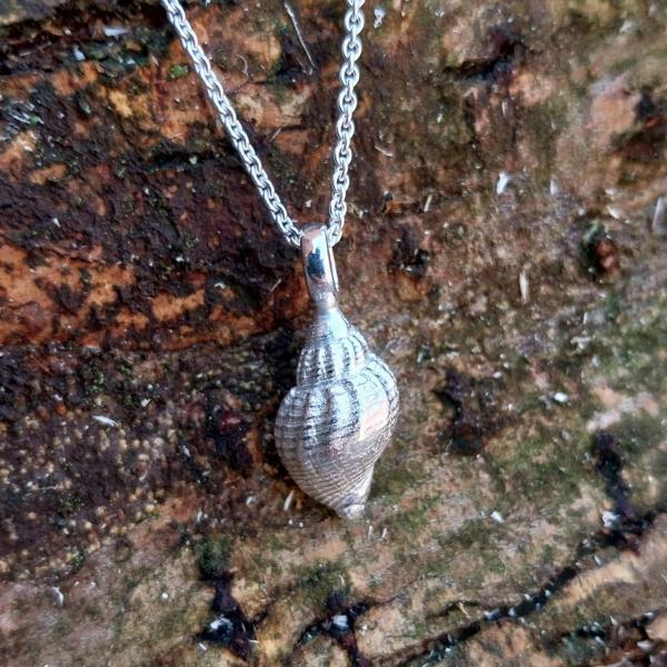 Wellhornschnecke - die "Kleine" 925/- Silber