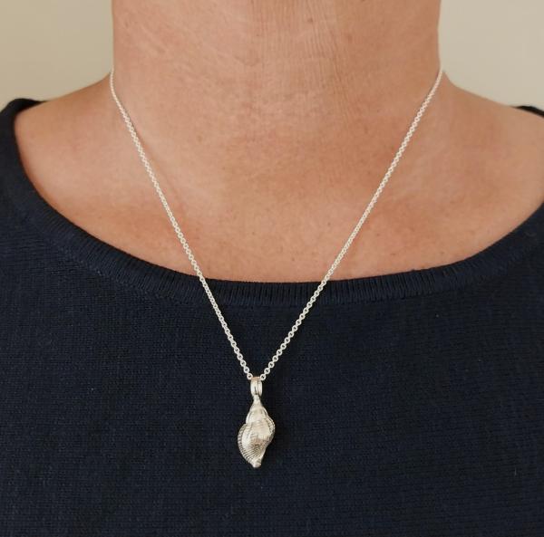 Wellhornschnecke - die "Kleine" 925/- Silber