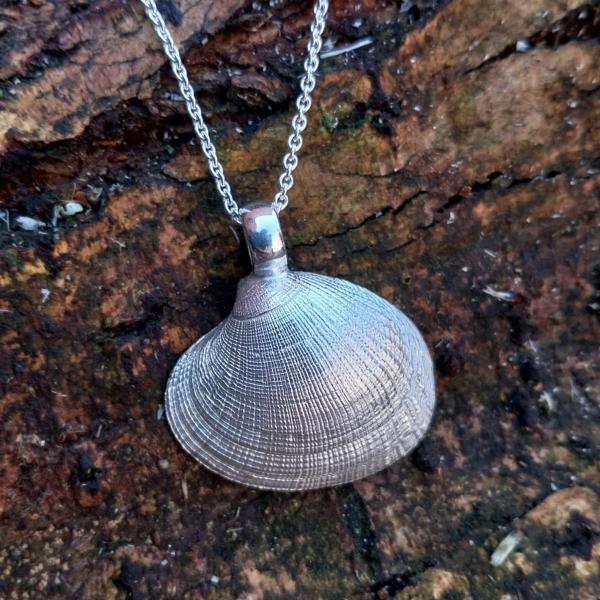 Teppichmuschel - 925/- Silber