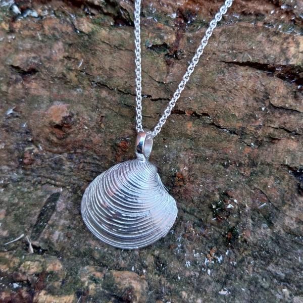 Teppichmuschel - 925/- Silber
