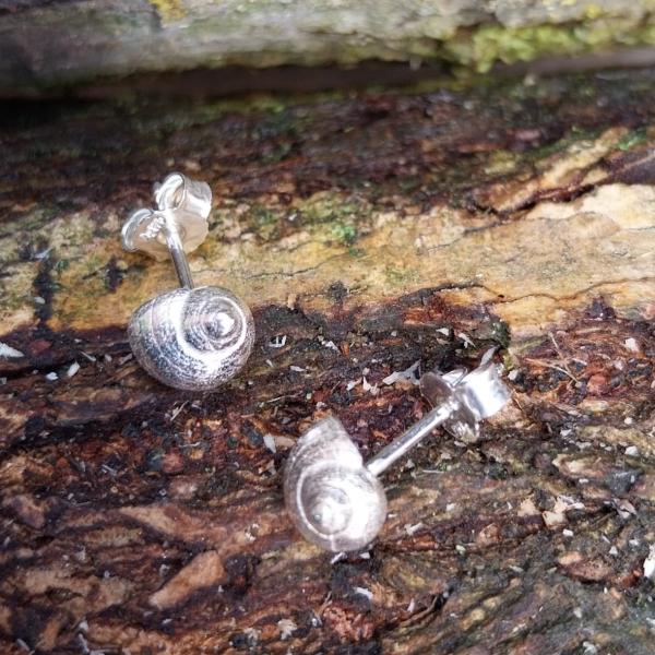 Strandschnecke Ohrstecker - 925/- Silber